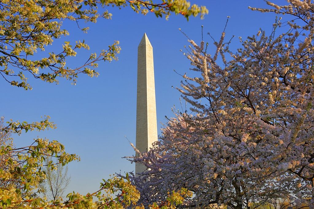 Hyatt Regency Crystal City At Reagan National Airport Arlington Exterior foto